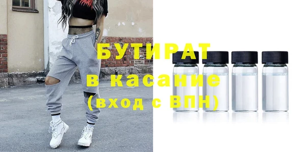 индика Алексин