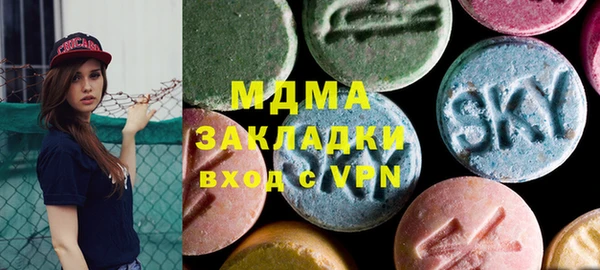 индика Алексин
