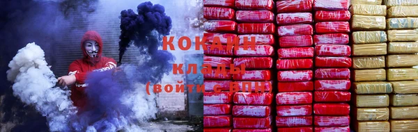 индика Алексин