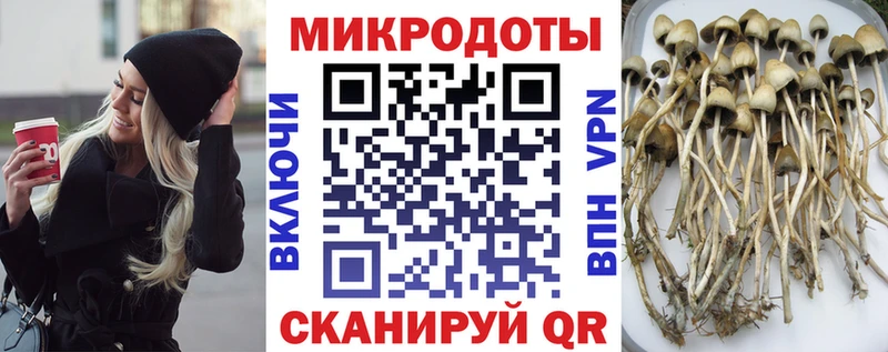 Псилоцибиновые грибы MAGIC MUSHROOMS мориарти Telegram Болхов